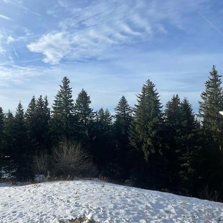 Chamrousse A 50M Des Pistes Appart 4/6 Dış mekan fotoğraf